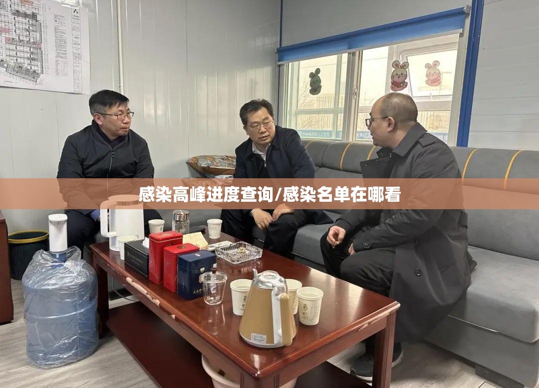 感染高峰进度查询/感染名单在哪看