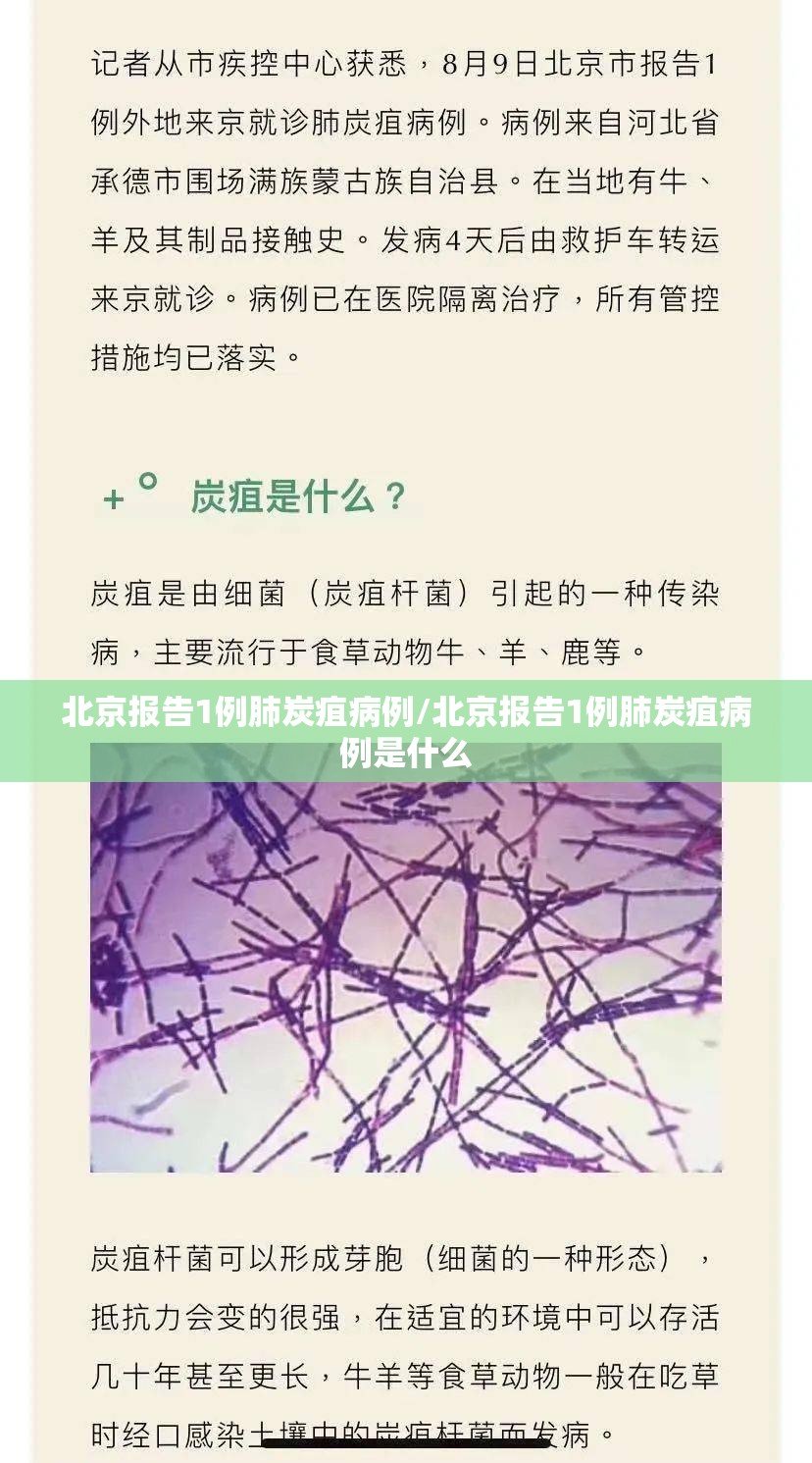 北京报告1例肺炭疽病例/北京报告1例肺炭疽病例是什么