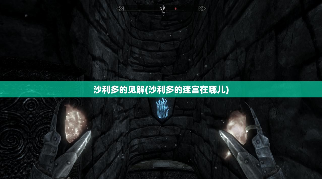 沙利多的见解(沙利多的迷宫在哪儿)