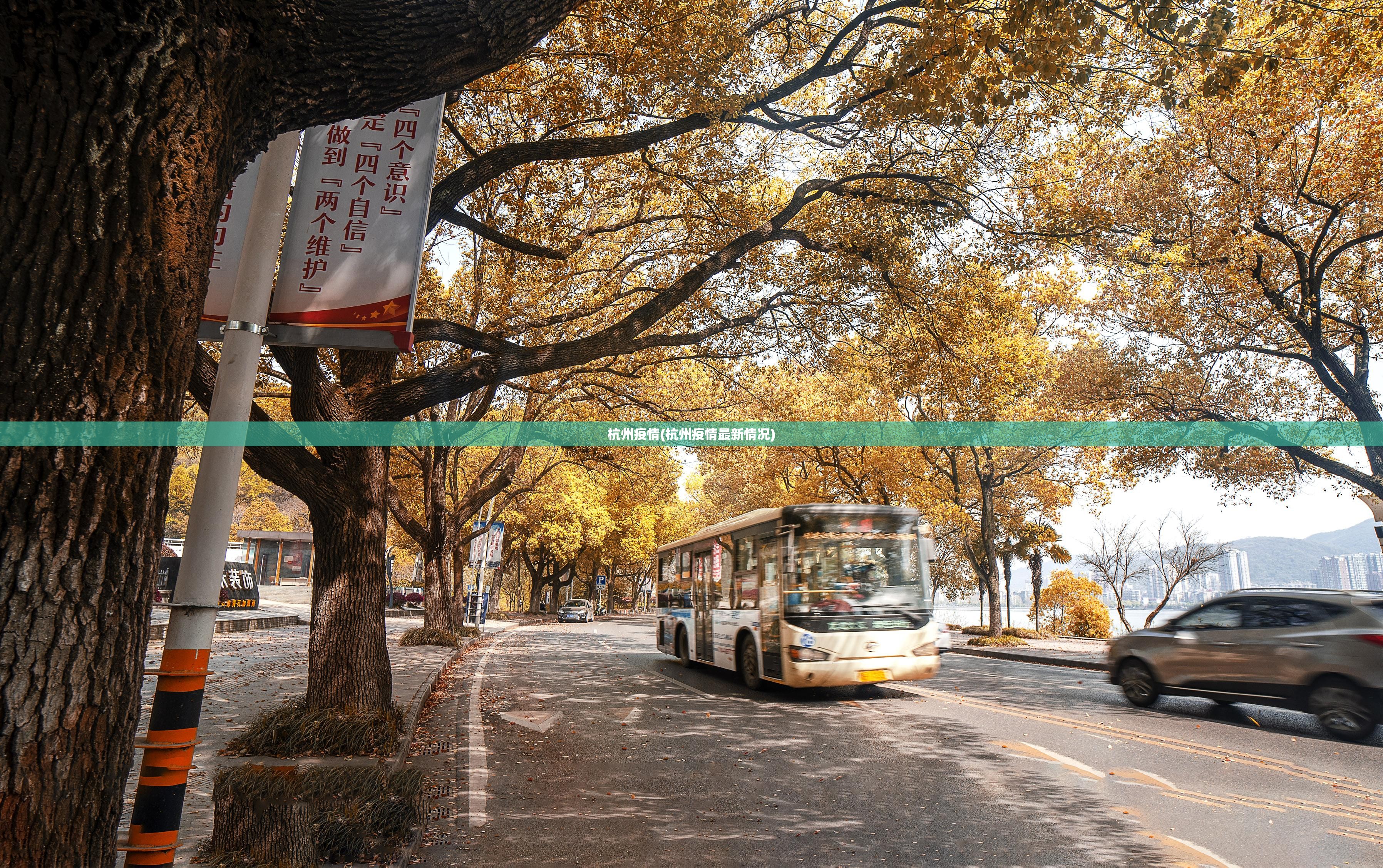 杭州疫情(杭州疫情最新情况)