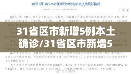 31省区市新增5例本土确诊/31省区市新增5例本土确诊病例
