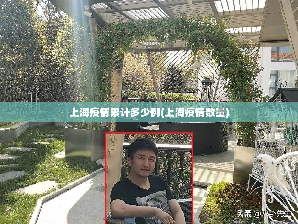 上海疫情累计多少例(上海疫情数量)