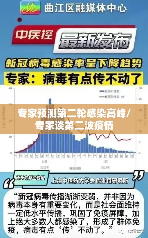 专家预测第二轮感染高峰/专家谈第二波疫情