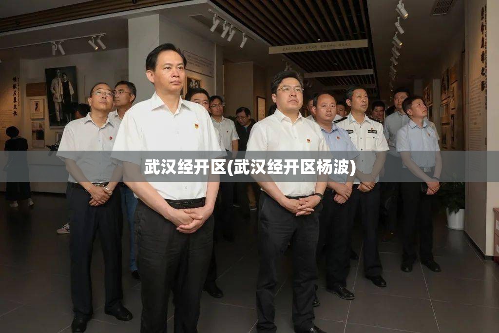 武汉经开区(武汉经开区杨波)