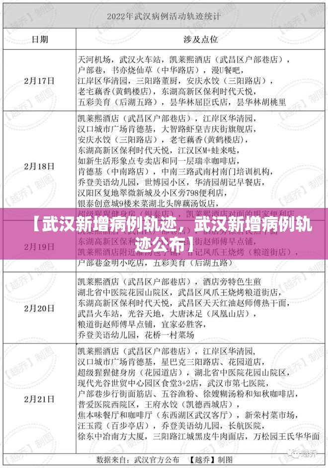 【武汉新增病例轨迹，武汉新增病例轨迹公布】