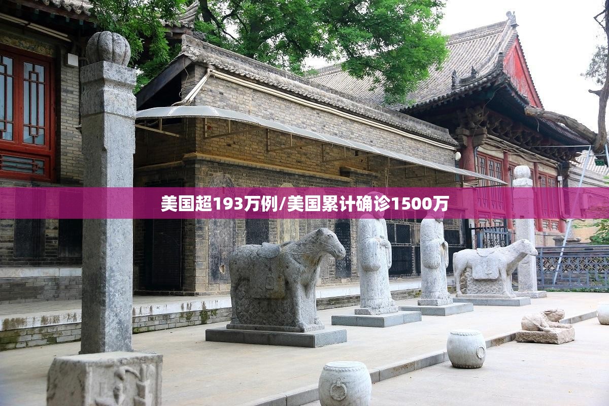 美国超193万例/美国累计确诊1500万