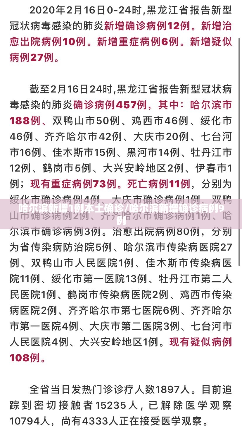 哈尔滨新增1例本土确诊/哈尔滨新增确诊病例9例