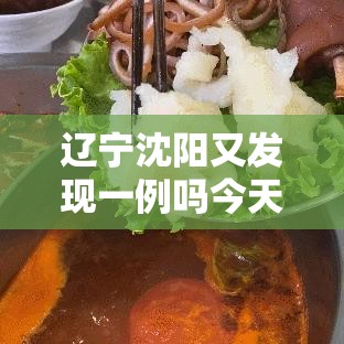 辽宁沈阳又发现一例吗今天/辽宁沈阳新增一例活动轨迹