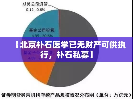 【北京朴石医学已无财产可供执行，朴石私募】