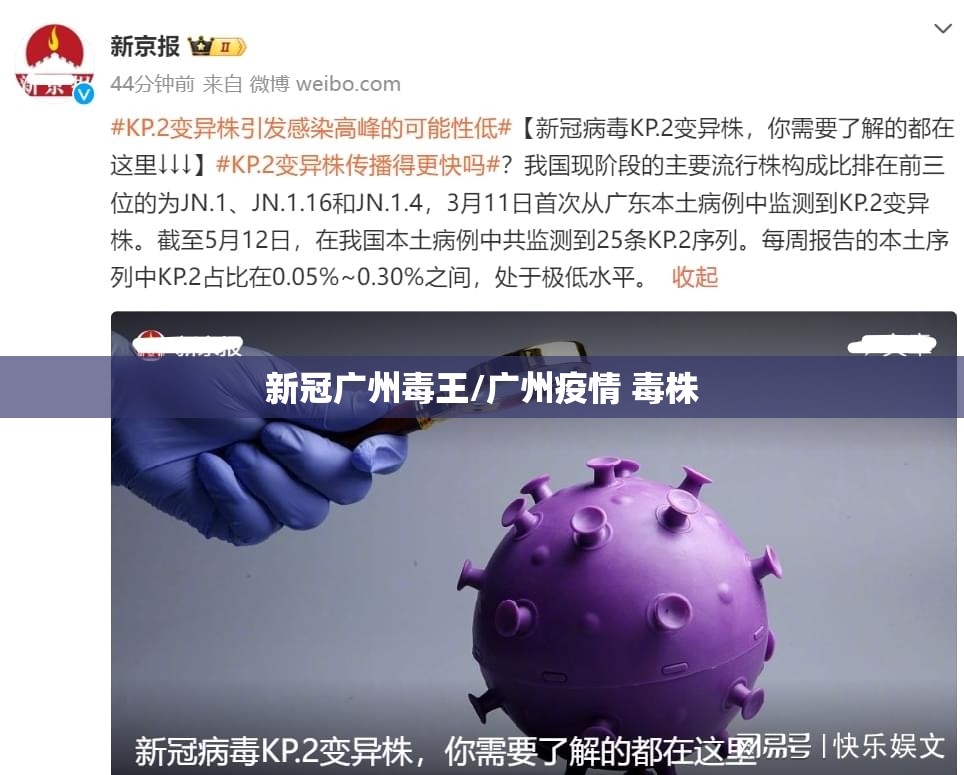 新冠广州毒王/广州疫情 毒株