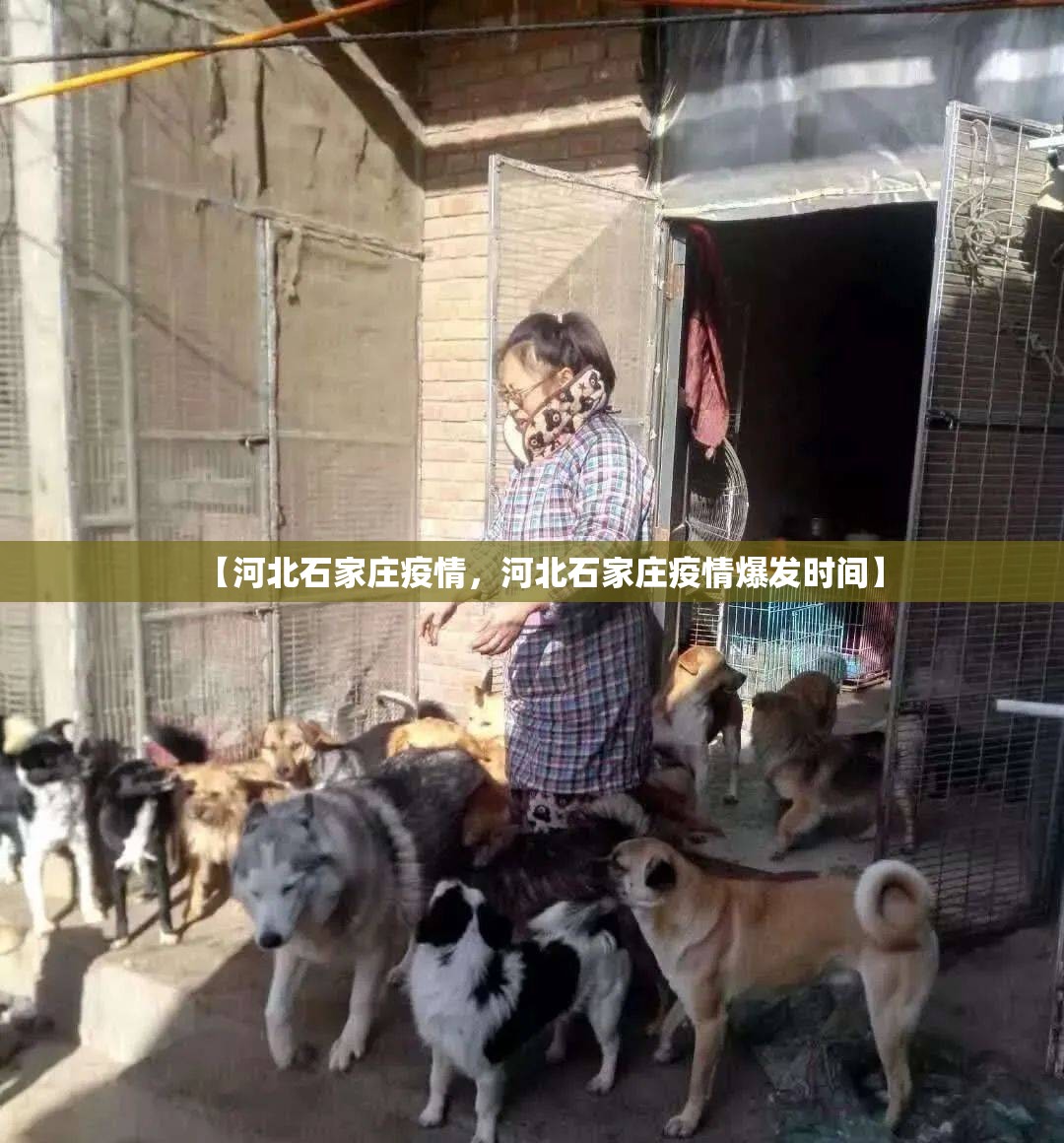 【河北石家庄疫情，河北石家庄疫情爆发时间】