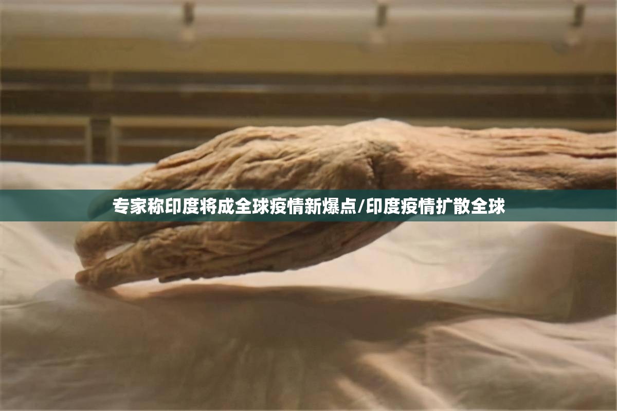 专家称印度将成全球疫情新爆点/印度疫情扩散全球