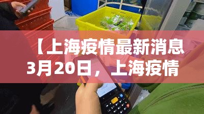 【上海疫情最新消息3月20日，上海疫情最新新闻】