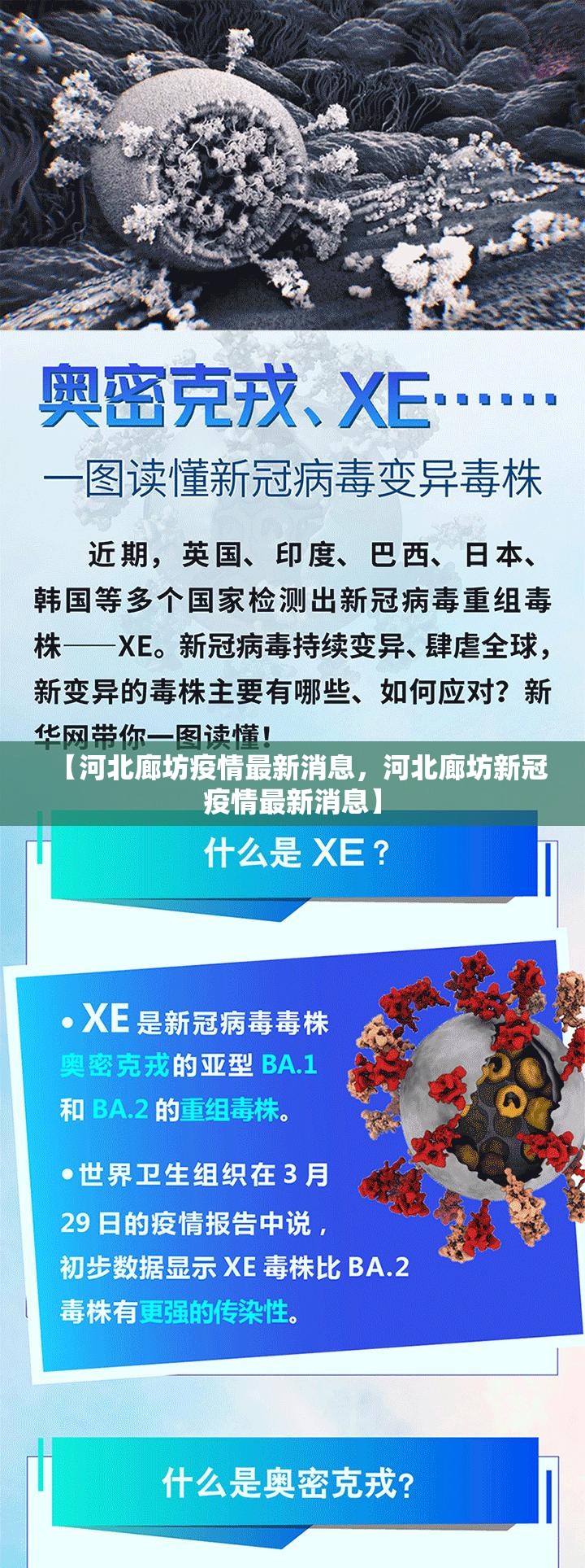 【河北廊坊疫情最新消息，河北廊坊新冠疫情最新消息】