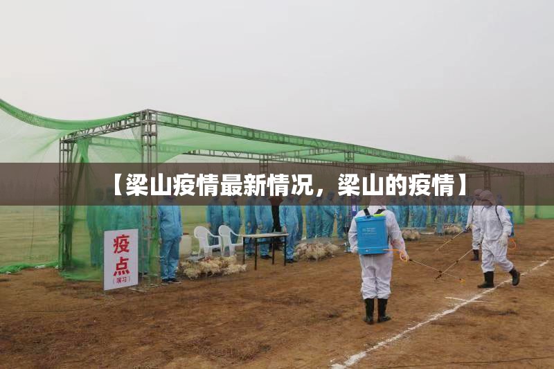 【梁山疫情最新情况，梁山的疫情】