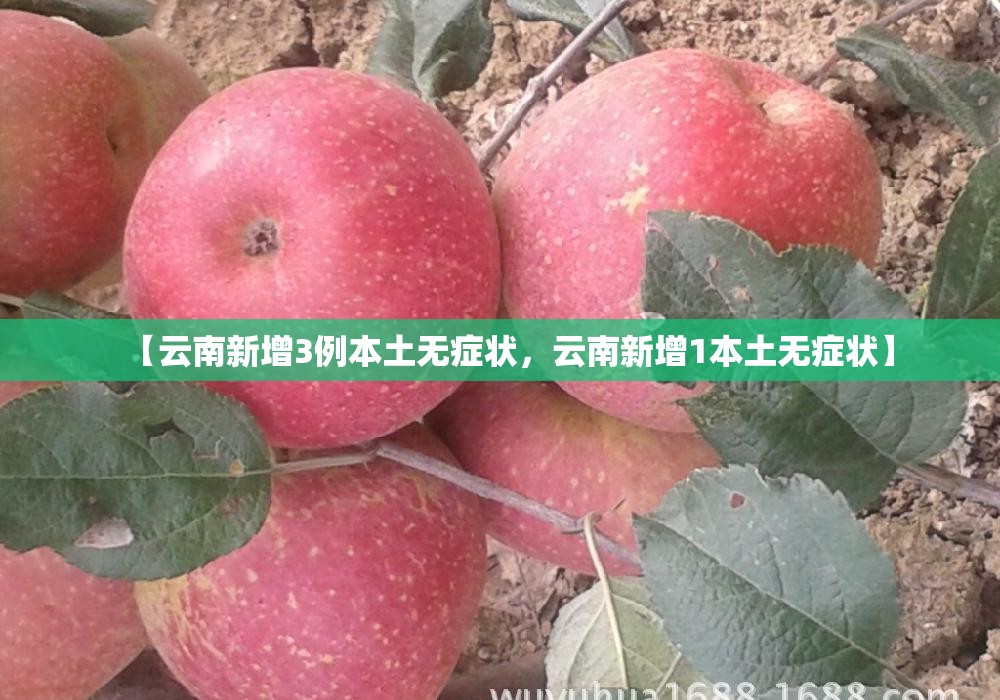 【云南新增3例本土无症状，云南新增1本土无症状】