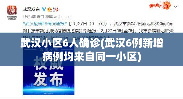 武汉小区6人确诊(武汉6例新增病例均来自同一小区)