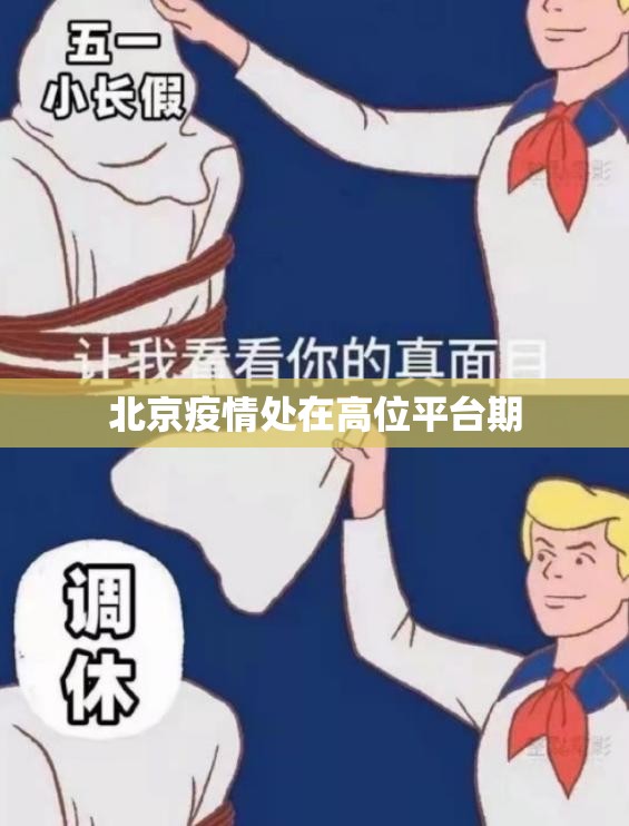 北京疫情处在高位平台期