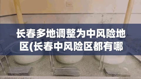 长春多地调整为中风险地区(长春中风险区都有哪)