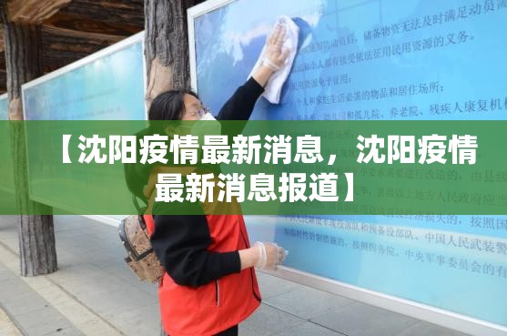 【沈阳疫情最新消息，沈阳疫情最新消息报道】