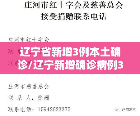 辽宁省新增3例本土确诊/辽宁新增确诊病例323例
