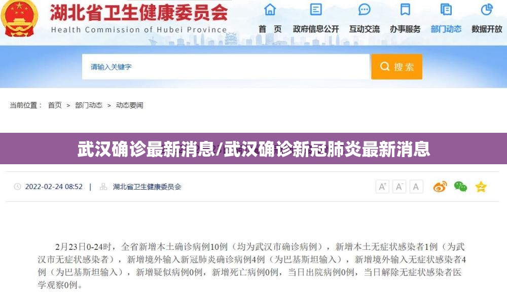 武汉确诊最新消息/武汉确诊新冠肺炎最新消息