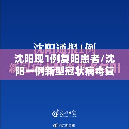 沈阳现1例复阳患者/沈阳一例新型冠状病毒复阳