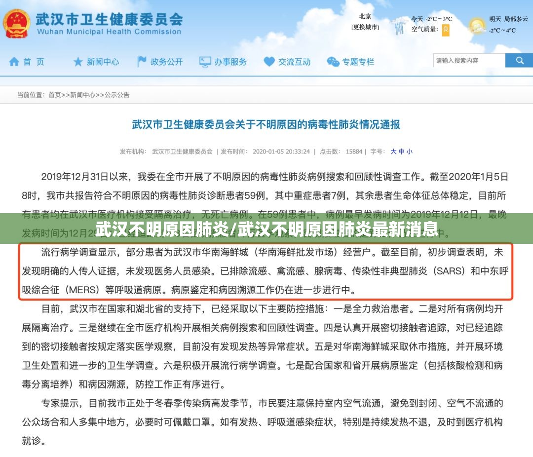 武汉不明原因肺炎/武汉不明原因肺炎最新消息