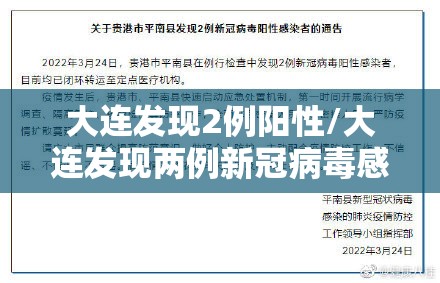 大连发现2例阳性/大连发现两例新冠病毒感染者