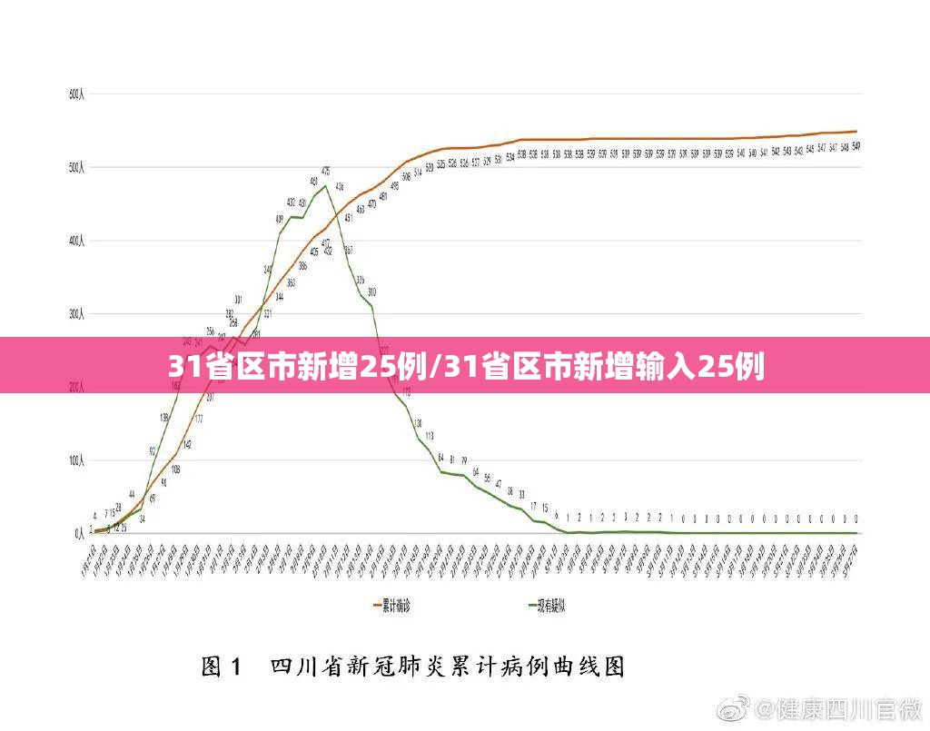 31省区市新增25例/31省区市新增输入25例