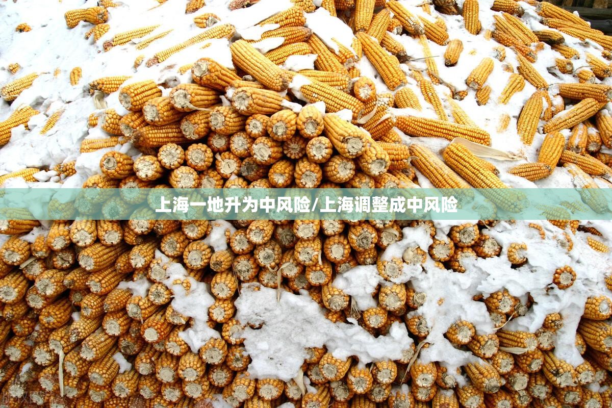 上海一地升为中风险/上海调整成中风险