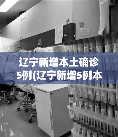 辽宁新增本土确诊5例(辽宁新增5例本土确诊病例行动轨迹)