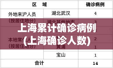 上海累计确诊病例(上海确诊人数)