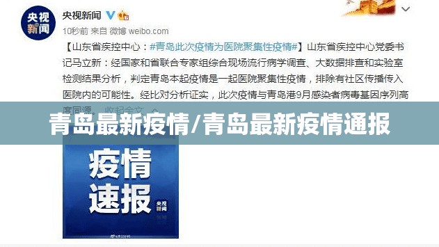 青岛最新疫情/青岛最新疫情通报