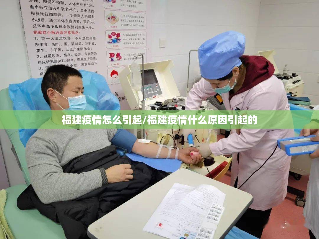 福建疫情怎么引起/福建疫情什么原因引起的