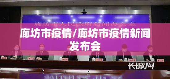 廊坊市疫情/廊坊市疫情新闻发布会