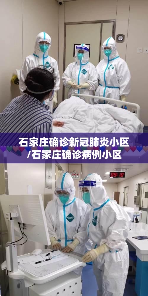 石家庄确诊新冠肺炎小区/石家庄确诊病例小区