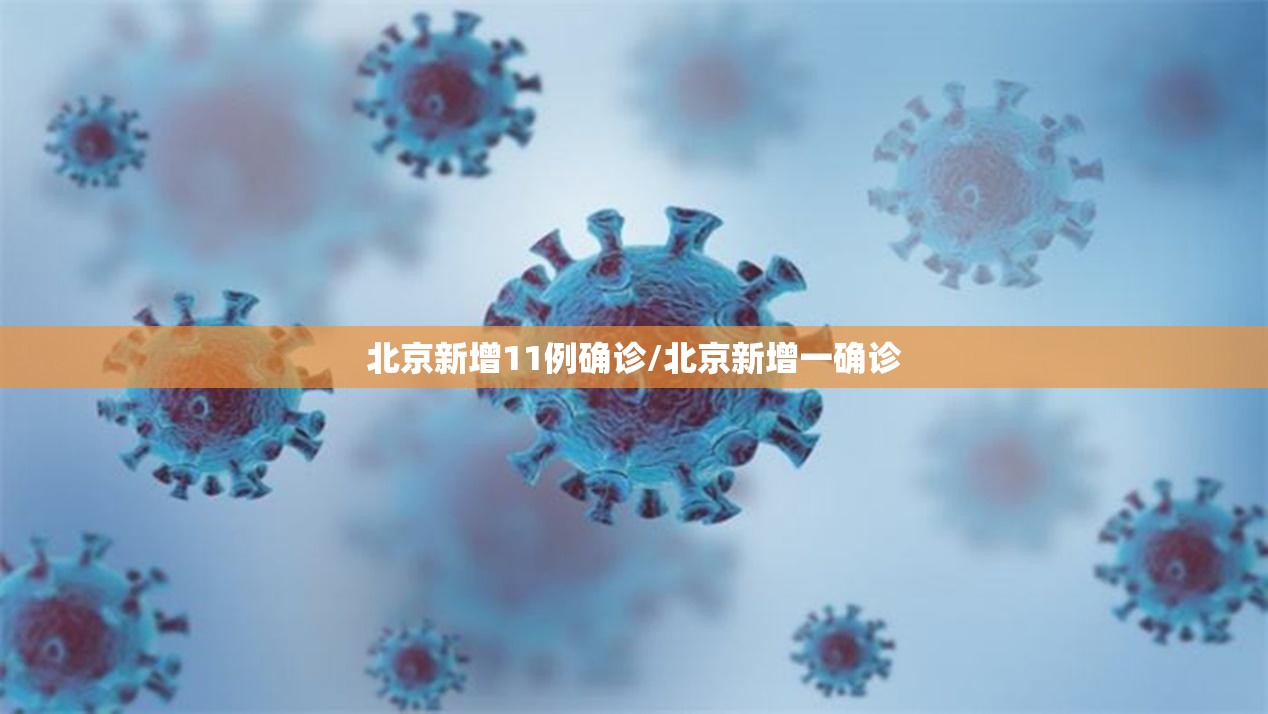 北京新增11例确诊/北京新增一确诊