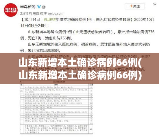 山东新增本土确诊病例66例(山东新增本土确诊病例66例)