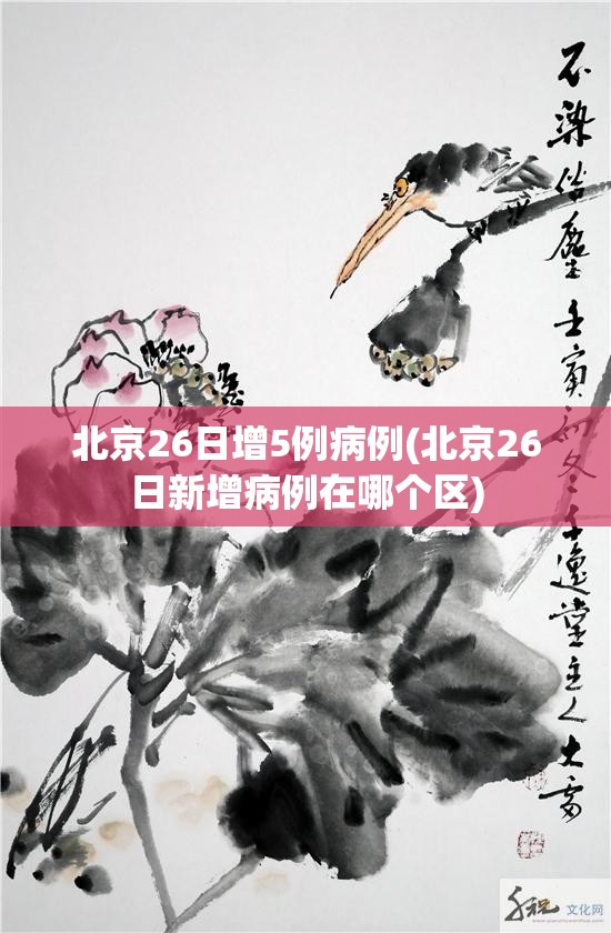 北京26日增5例病例(北京26日新增病例在哪个区) 北京26日增5例病例(北京26日新增病例在哪个区)