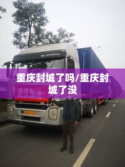重庆封城了吗/重庆封城了没