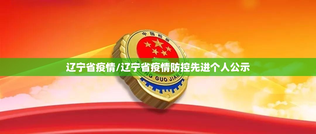 辽宁省疫情/辽宁省疫情防控先进个人公示