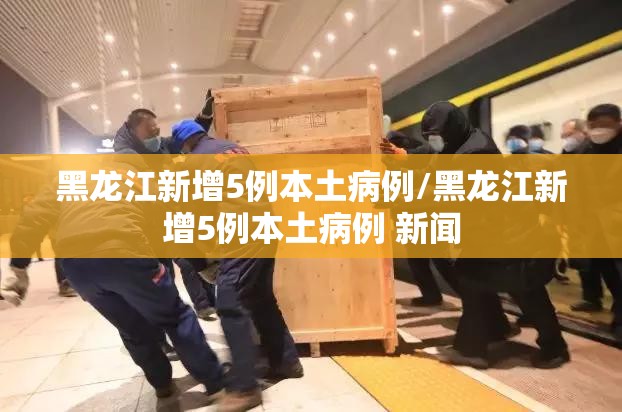 黑龙江新增5例本土病例/黑龙江新增5例本土病例 新闻