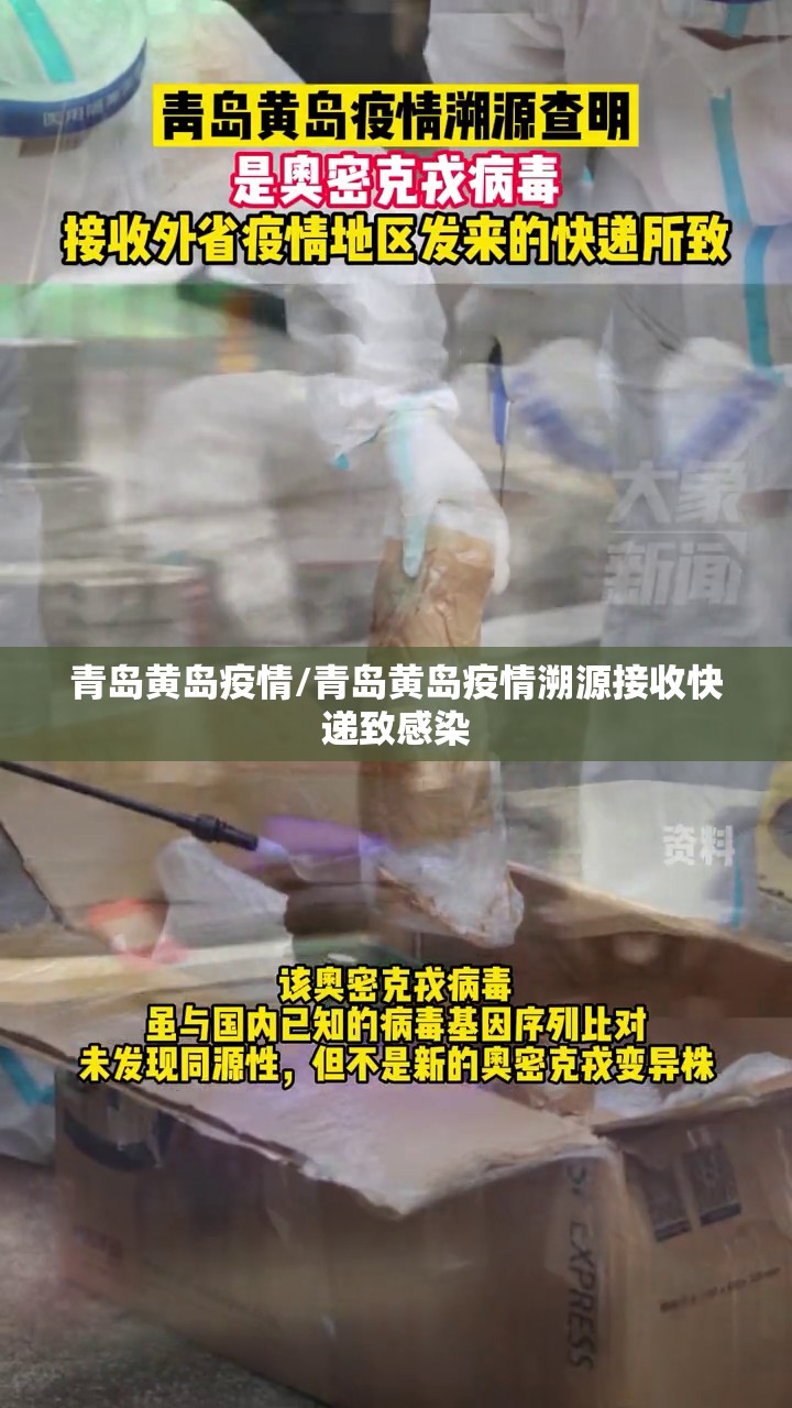 青岛黄岛疫情/青岛黄岛疫情溯源接收快递致感染