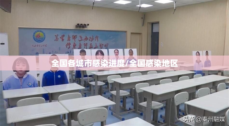全国各城市感染进度/全国感染地区