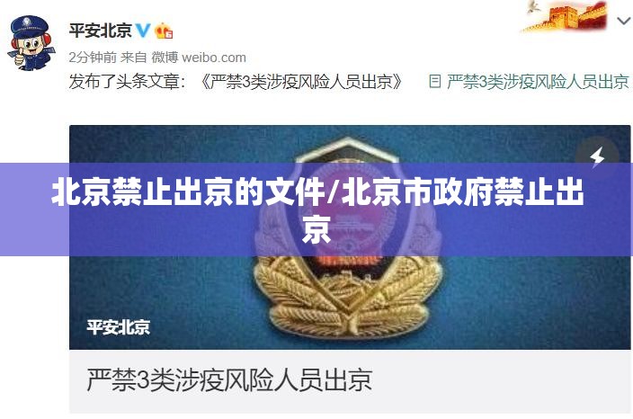 北京禁止出京的文件/北京市政府禁止出京