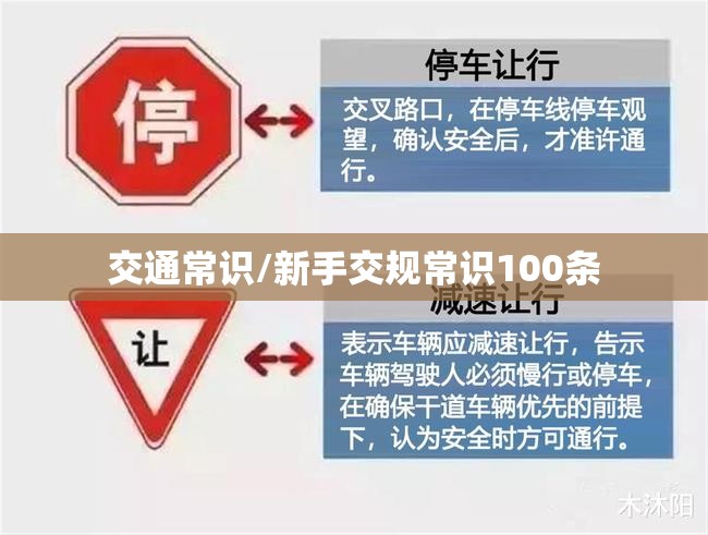 交通常识/新手交规常识100条