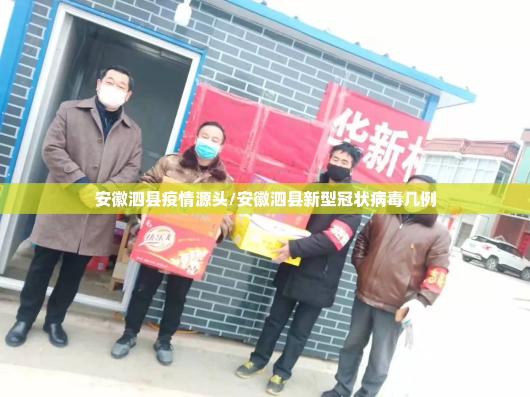 安徽泗县疫情源头/安徽泗县新型冠状病毒几例