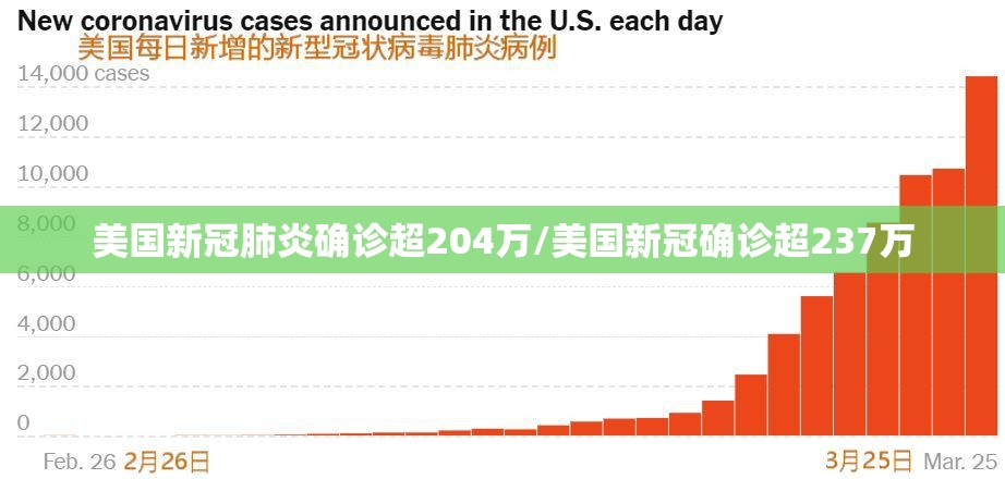 美国新冠肺炎确诊超204万/美国新冠确诊超237万