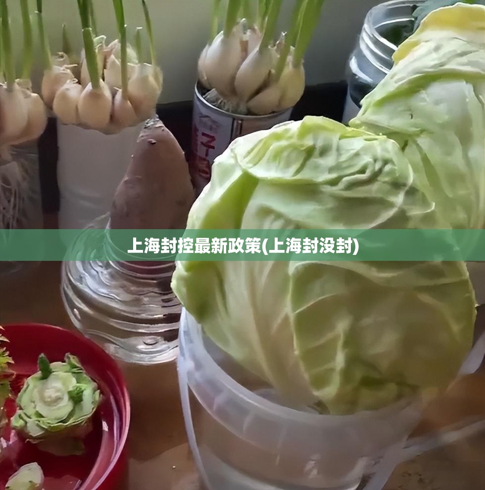 上海封控最新政策(上海封没封)